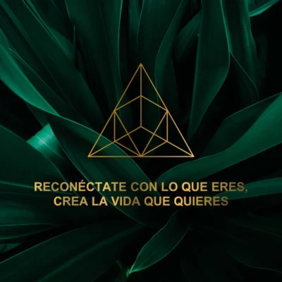 Reconectate coaching