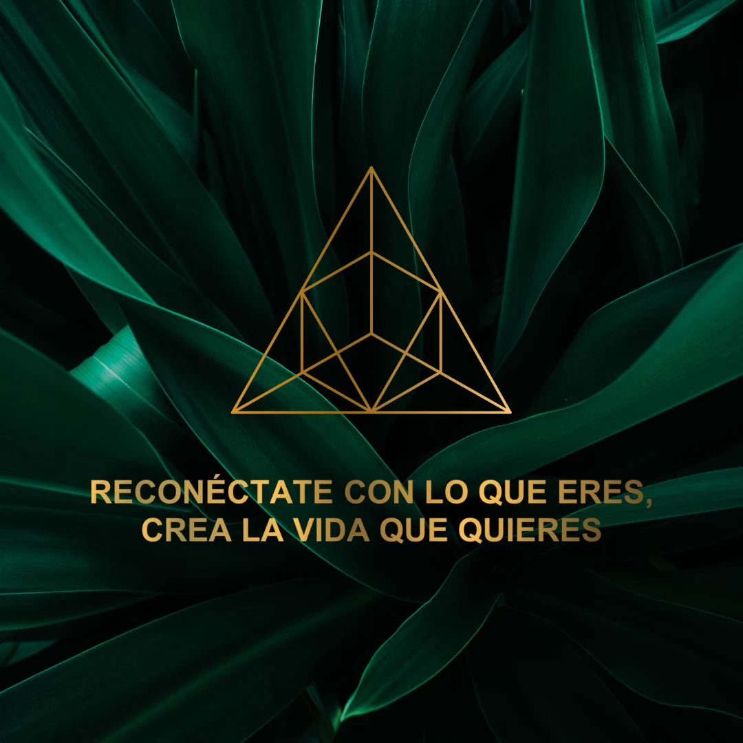 Reconectate coaching